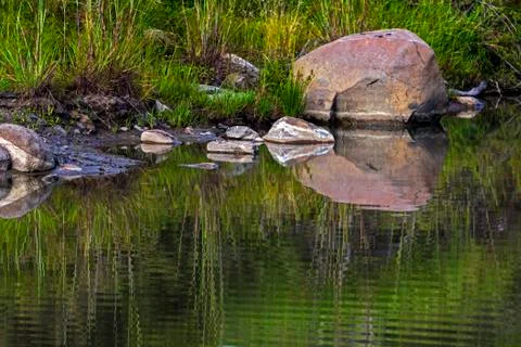 Abstract  Patterns Reflections on Wild Animal Watering Hole Stock Photos
