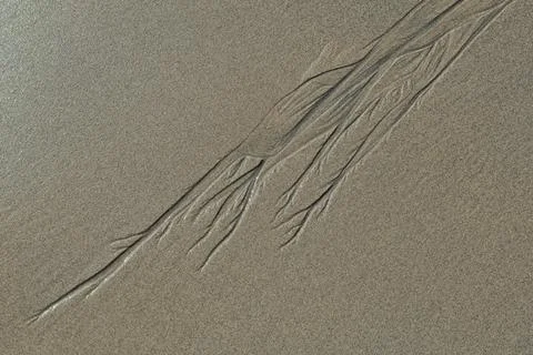 Abstract patterns on sand. Stock Photos