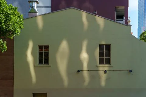 Abstract Patterns of Sunlight and Tree Shadows Adorn a Pale Green Gabled Bu.. Stock Photos