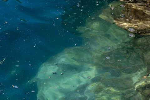 Abstract patterns of swirling water with tiny bubbles and debris Stock Photos