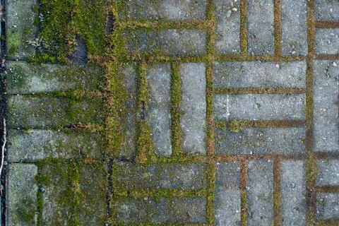 Abstract pavement pattern with moss and moisture Stock Photos