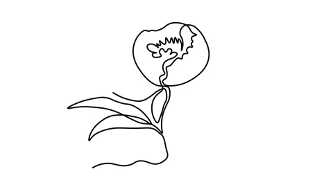 Abstract peony flower, Self drawing animation one continuous line draw, logo Stock Footage 300938422