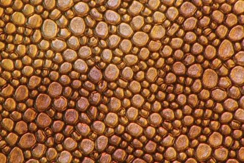 Abstract Stock-Fotos