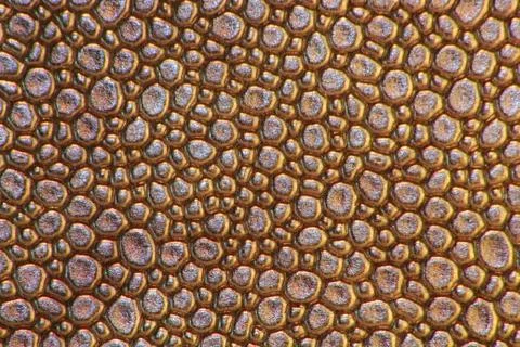 Abstract Stock Photos