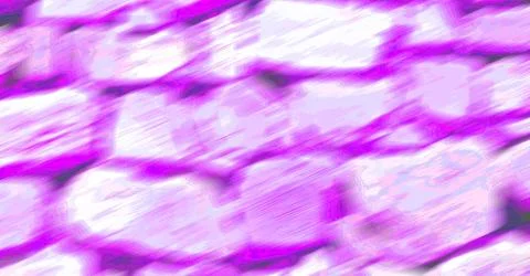 The   abstract Stock Photos