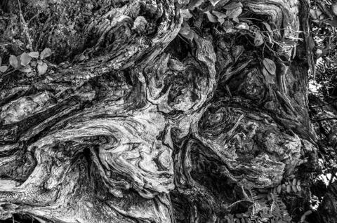 Abstract Stock Photos