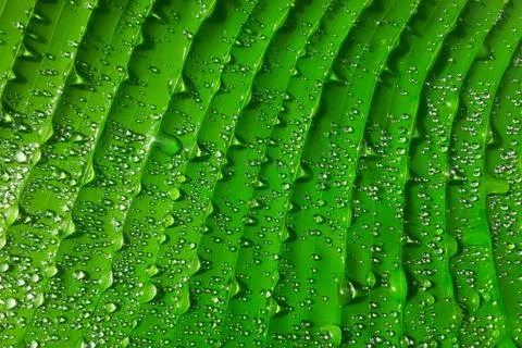 Abstract Stock Photos