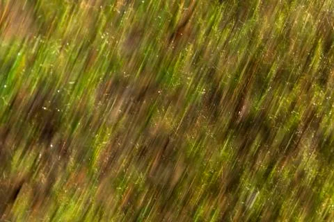 Abstract Stock Photos