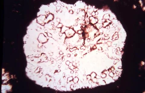 Abstract Stock Photos