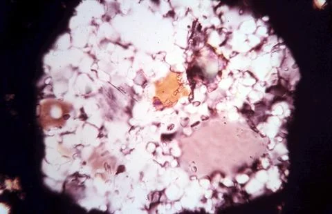 Abstract Stock Photos