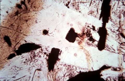 Abstract Stock Photos