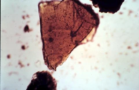 Abstract Stock Photos