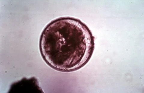 Abstract Stock Photos