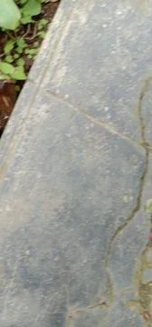 Abstract 库存照片