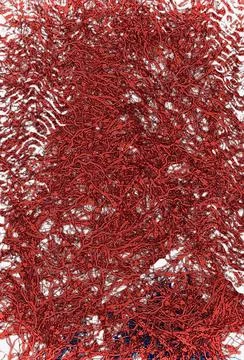 Abstract Stock Photos