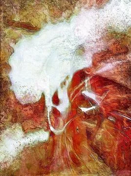 Abstract Stock Photos