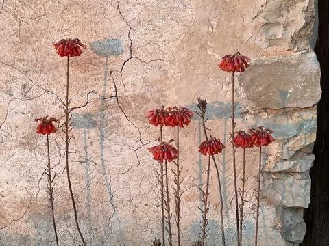 Abstract Stock Photos