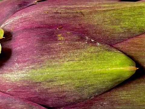 Abstract Stock Photos