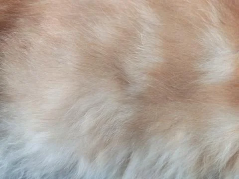 Abstract Stock Photos