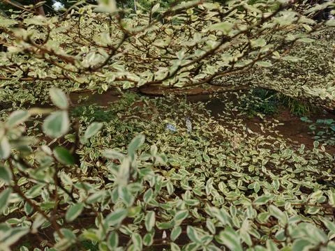 Abstract Stock Photos