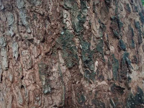 Abstract Stock Photos