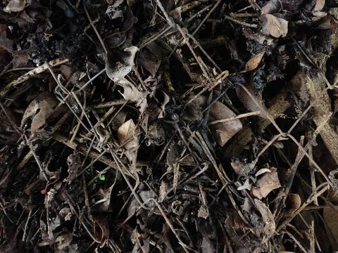 Abstract Stock Photos