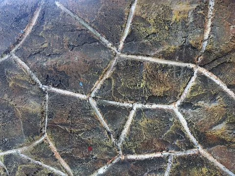 Abstract Stock Photos