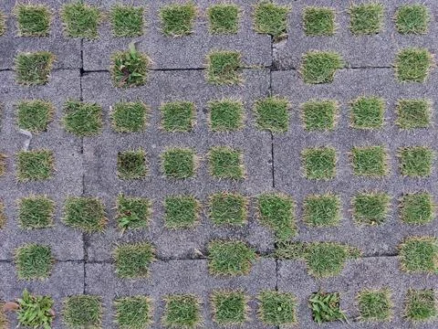 Abstract Stock Photos