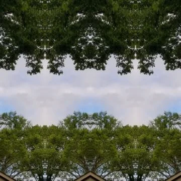 Abstract Photo Collage of Spring Dawn Trees Clouds and Sky 18 Stock Photos