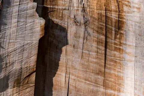 Abstract photograph of cut tree trunk Stock Photos
