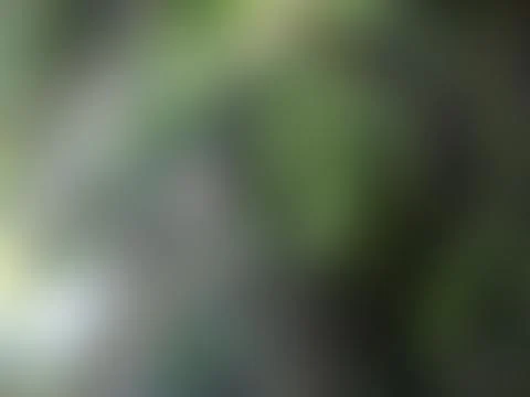 The Abstract picture. Stock Illustration