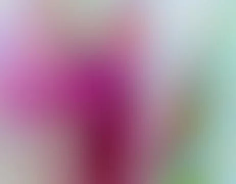 The Abstract picture. Stock Illustration