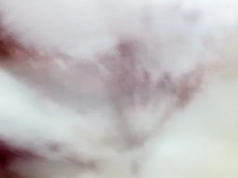 Abstract picture. 스톡 사진