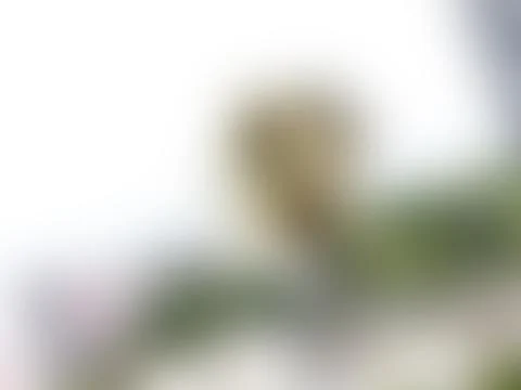 The Abstract picture. 写真素材