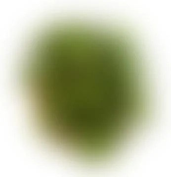 The Abstract picture. Foto stock