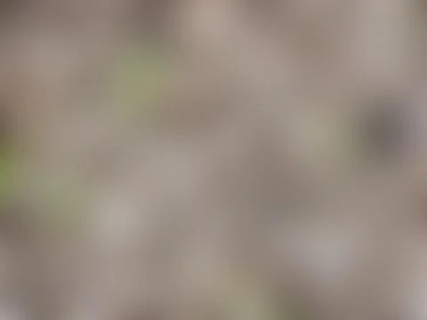 The Abstract picture. Stock-Fotos