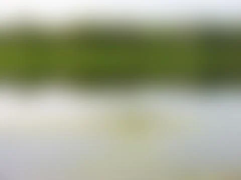 The Abstract picture. Stock-Fotos