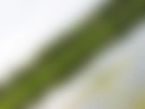 The Abstract picture. Foto stock