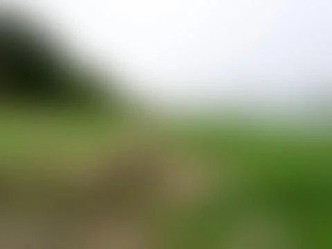 The Abstract picture. Stock-Fotos