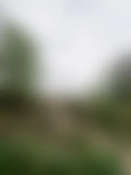The Abstract picture. Stock Photos