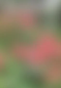 The Abstract picture. Stock-Fotos