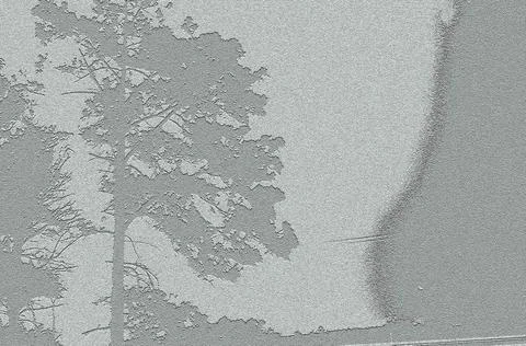 Abstract pine tree landscape with emboss texture Stock Illustration