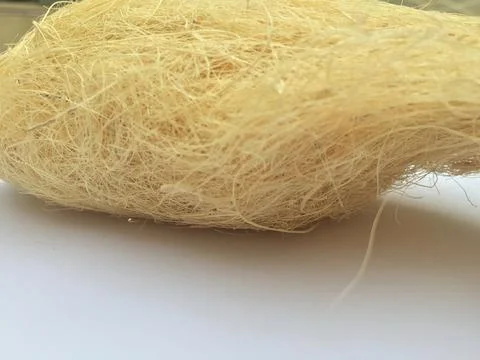 Abstract Pineapple fiber Foto stock
