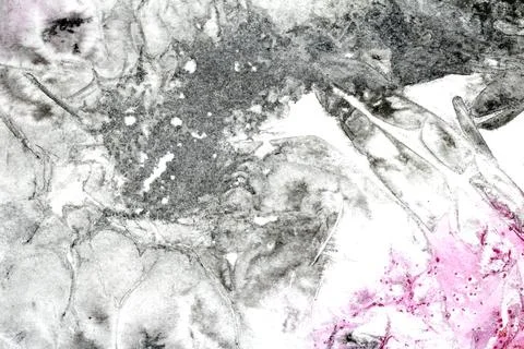 Abstract pink and back ink marble cracked background creative swirl paint Stock Illustration