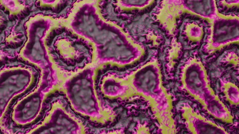 Abstract Pink and Lime Green 3D Bio-Organic Liquid Texture Motion Background Stock Footage 341171611