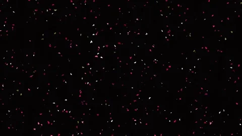 Abstract pink and red glowing particles drifting through deep black space Stock Footage 342204686