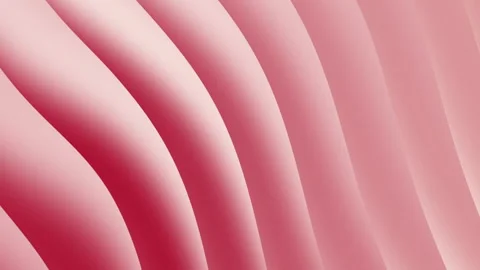 Abstract pink and red gradient background with curved lines suitable for Stock Footage 311782800