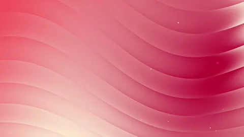 Abstract Pink and White Wave Background Design Elegant Smooth Curving Lines.. Video stock 293876918
