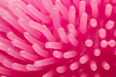 Abstract pink anemone 写真素材