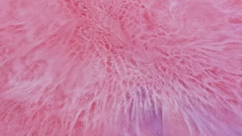 An abstract pink background, featuring intricate patterns and a depth Vidéo 265895588